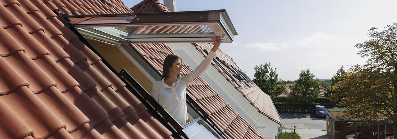 Beautiful Velux Roofing
